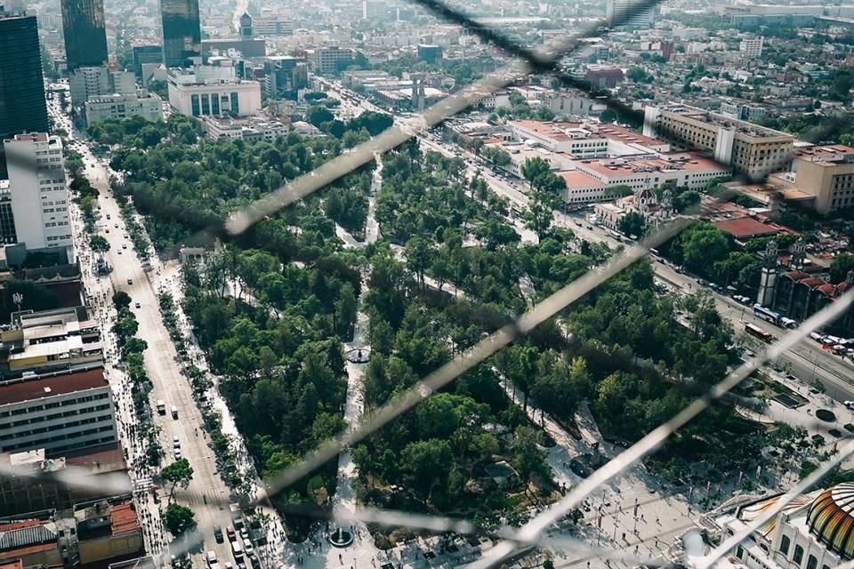 Bosque de Tlalpan es la colonia con mayor porcentaje de áreas verdes en la Ciudad de México, según un análisis de la plataforma DD360.