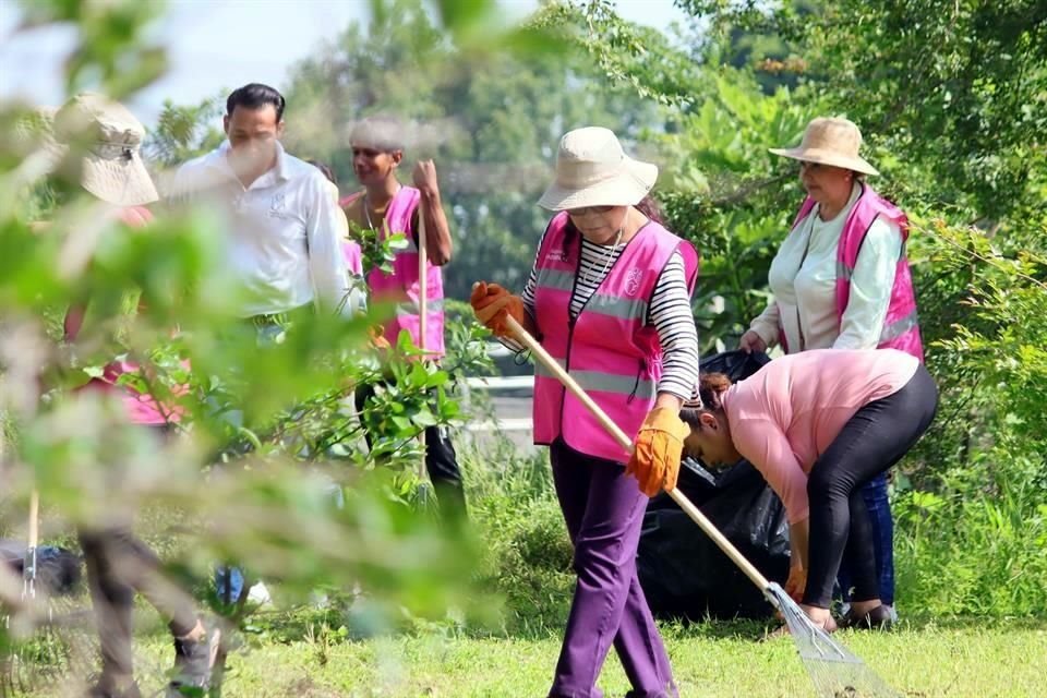 También se han realizado trabajos de limpieza.