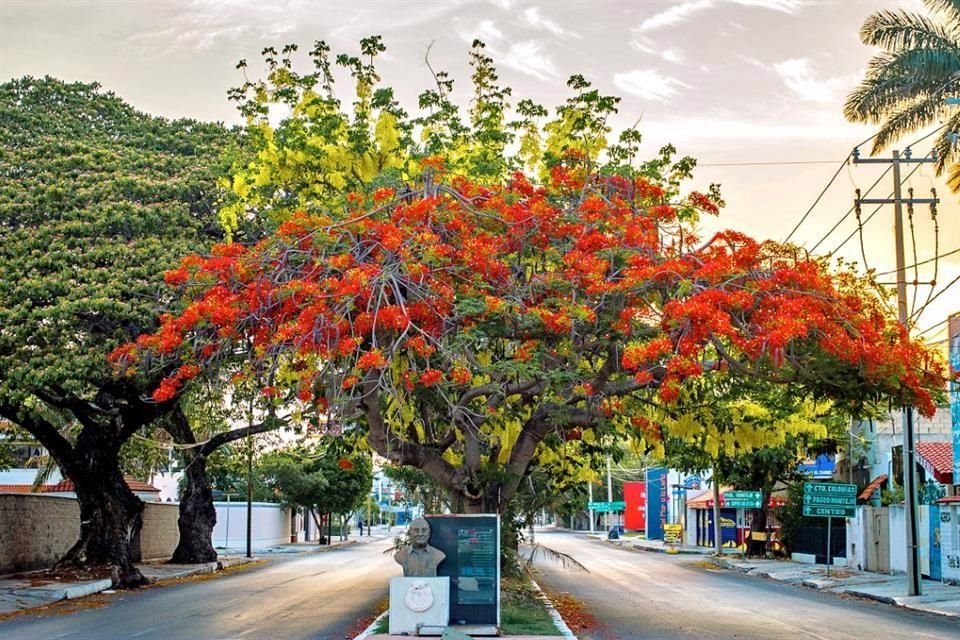 Siempre hay un motivo para desconectarte del estrés y conectar con la belleza de un bosque, parque o jardín, como estas opciones.