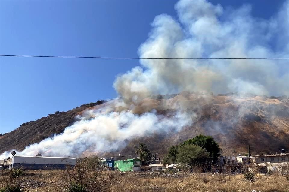 Se han registrado 109 incendios forestales en Zapopan, con una afectación en 512 hectáreas.