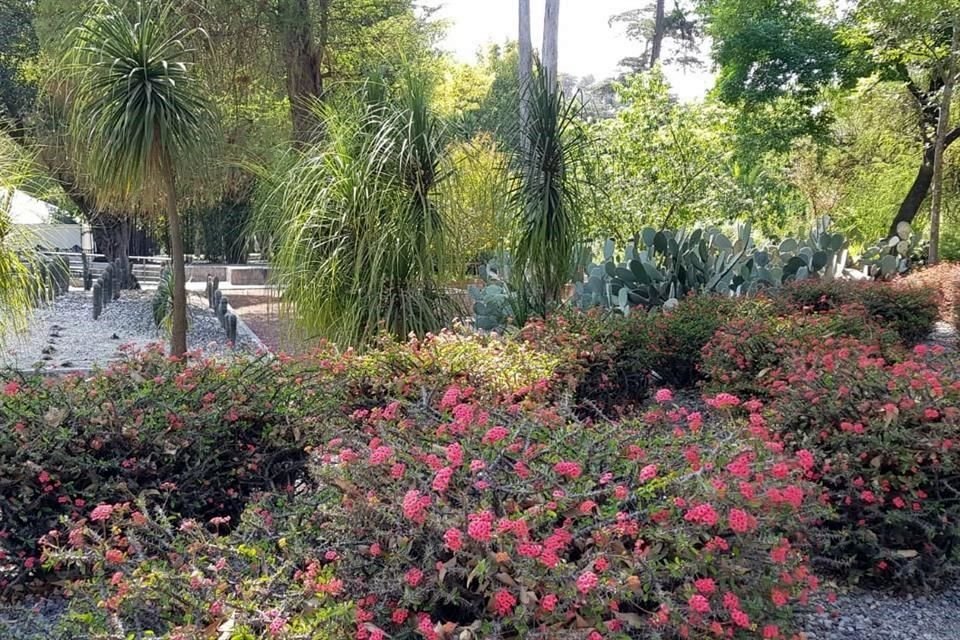 Las obras de un pabellón en el Bosque de Chapultepec y de un cuartel de la Guardia Nacional en el Vivero Nezahualcóyotl están detenidas debido a amparos.