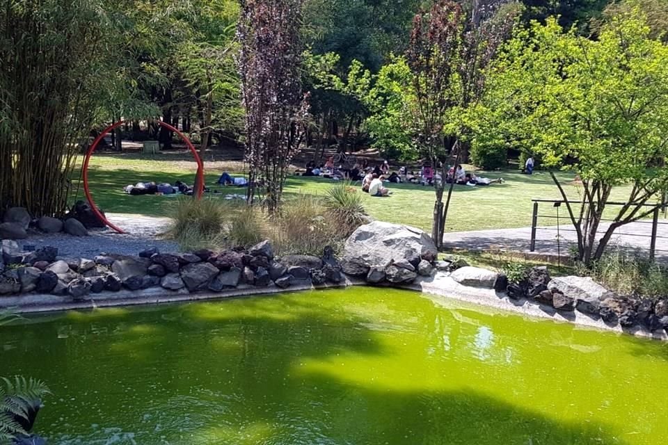 Las obras de un pabellón en el Bosque de Chapultepec y de un cuartel de la Guardia Nacional en el Vivero Nezahualcóyotl están detenidas.