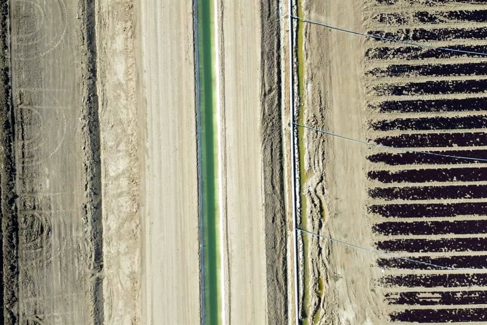 Canal de agua entre plantaciones de lechugas en Holtville, visto desde una toma aérea.