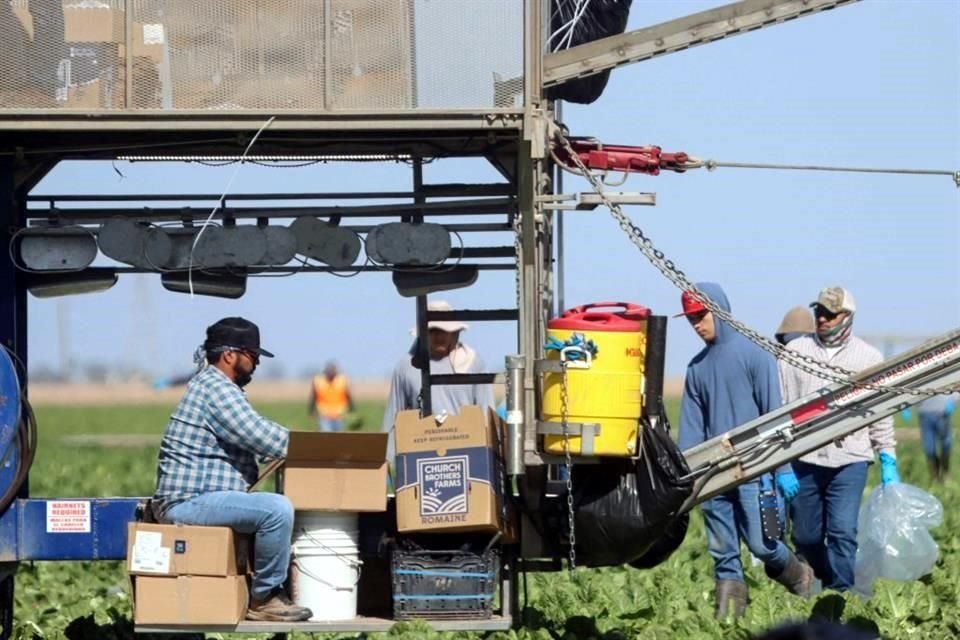 El condado Imperial es uno de los más pobres de Estados Unidos y la agricultura es una de las principales fuentes de empleo.