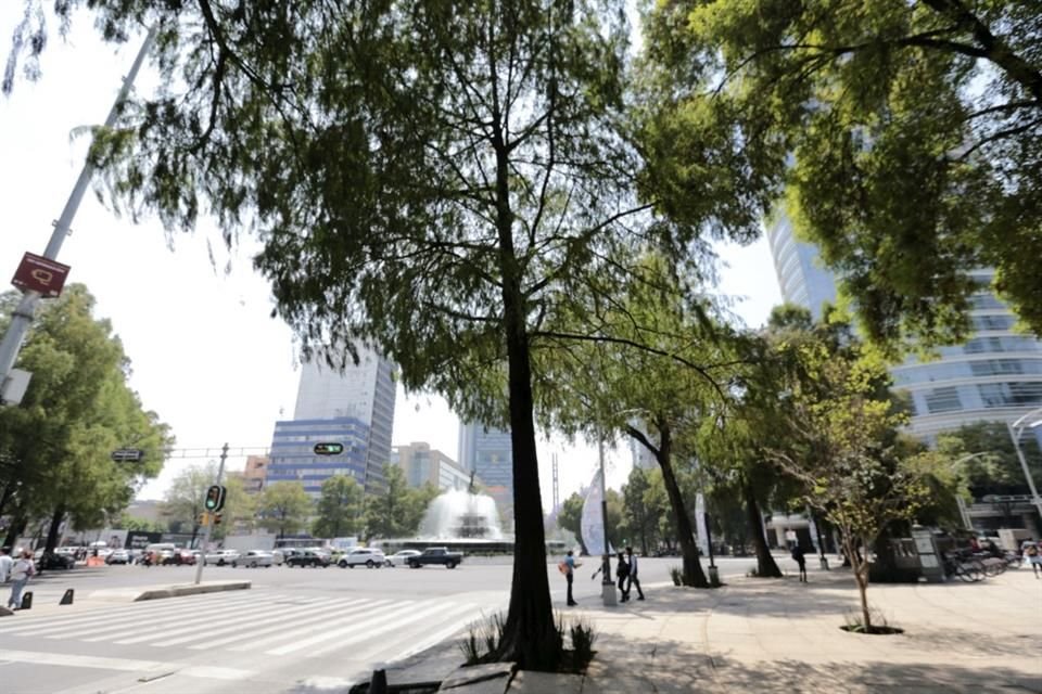 La desigualdad en espacios verdes viene desde que fueron lugares destinados al cultivo, por lo que no había presencia de árboles y con el crecimiento urbano se reemplazó la agricultura.