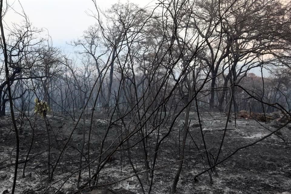 Vegetación de encino, selva y pastizal resultó afectada en el incendio que duró 24 horas.