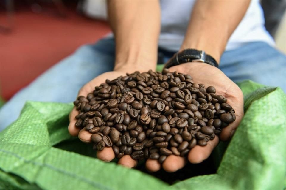 Para la empresa de alimentos, no solo se trata de garantizar el abasto de granos a largo plazo, sino que al tener una mayor calidad de café y cacao.