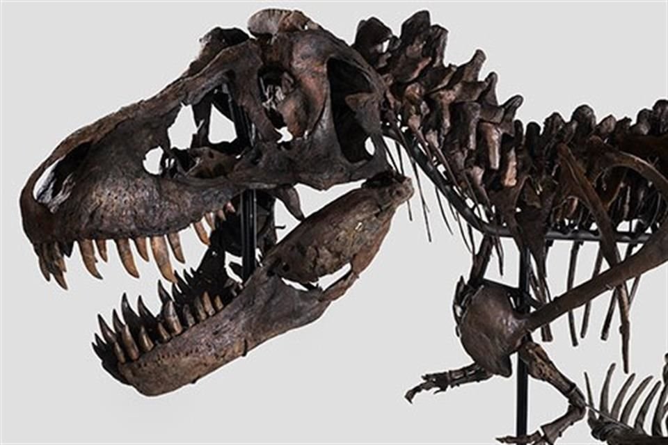 'Trinity', un esqueleto de T. rex posado como en Parque Jurásico, fue vendido en subasta por 5.3 millones de dólares.