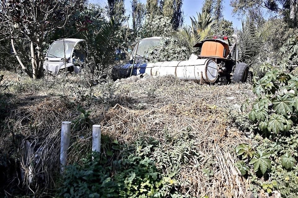 Especialistas señalan que la urbanización en la zona de canales ha tenido un impacto en ecosistemas de importancia para la Ciudad.