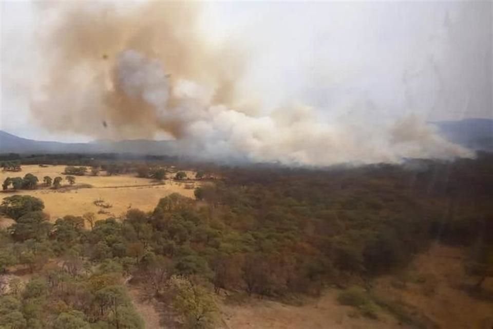 Apuntan como principal factor la negligencia en limpias de pastizales, sumada a la falta de agua en territorio jalisciense.