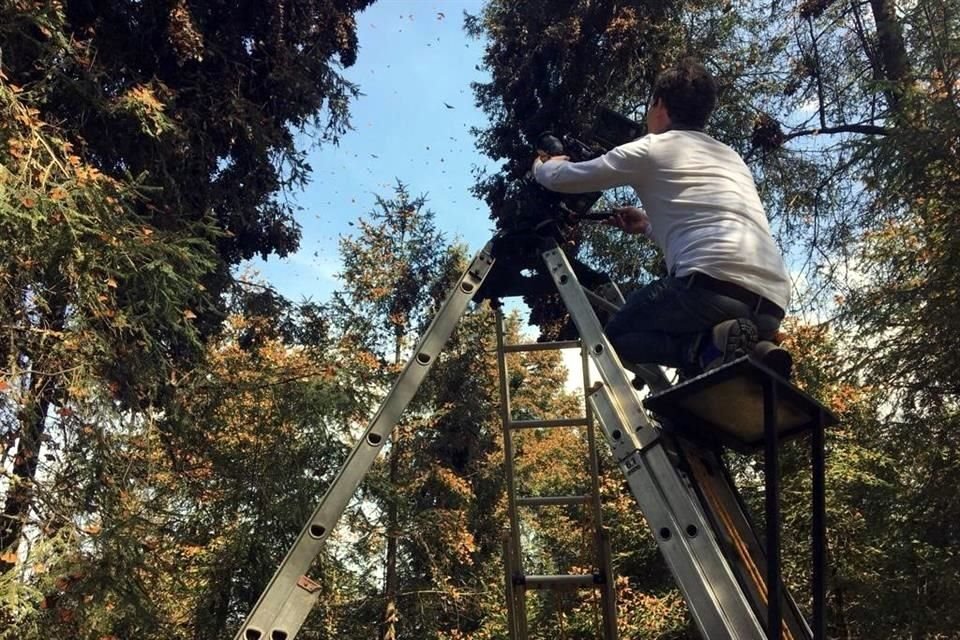 El proyecto de realización del documental 'Nómadas' se llevó un año de filmación por reservas y áreas naturales protegidas del País.