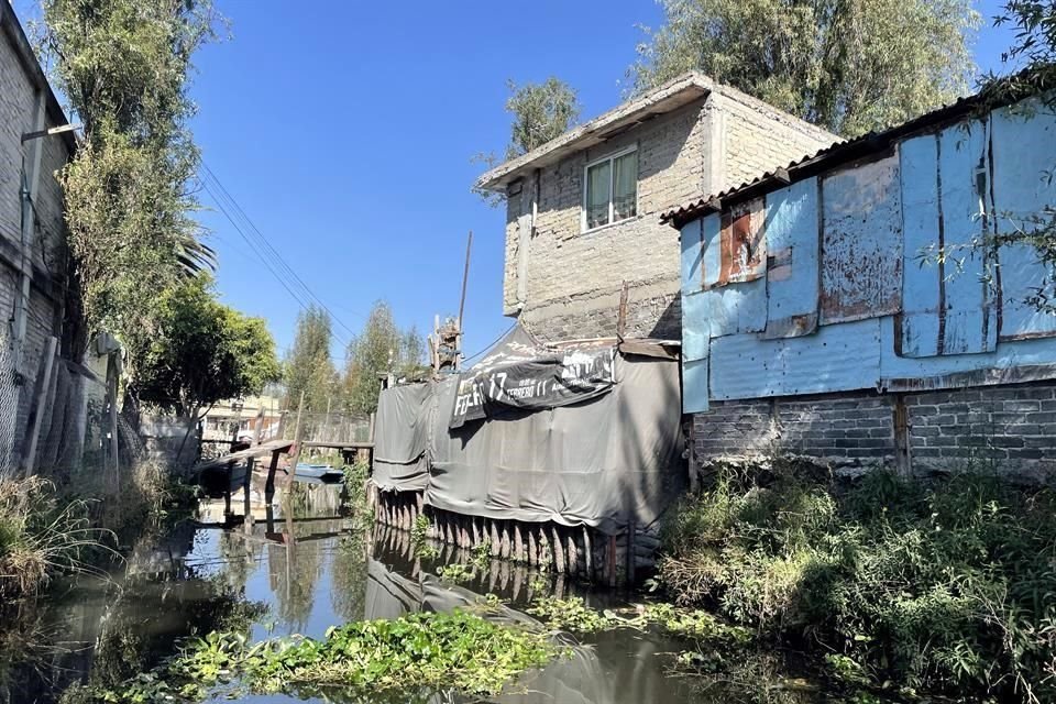 Las casas de concreto provocan disminución de animales y plantas en los canales.