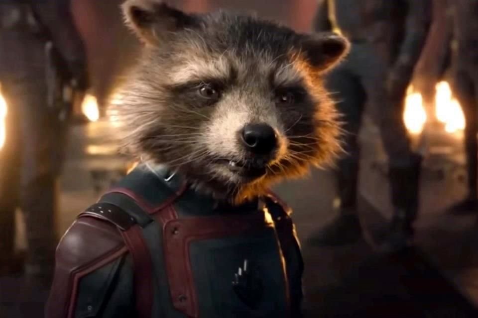 La historia de origen de Rocket Racoon, vista en la película, ha sido alabada por fans y críticos.