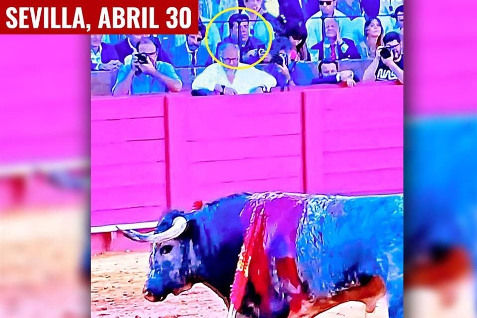 El 30 de abril, Pedro Haces Barba estuvo en la corrida de la Feria de Sevilla para ver a Sebastián Castella, Juan Ortega y Roca Rey.