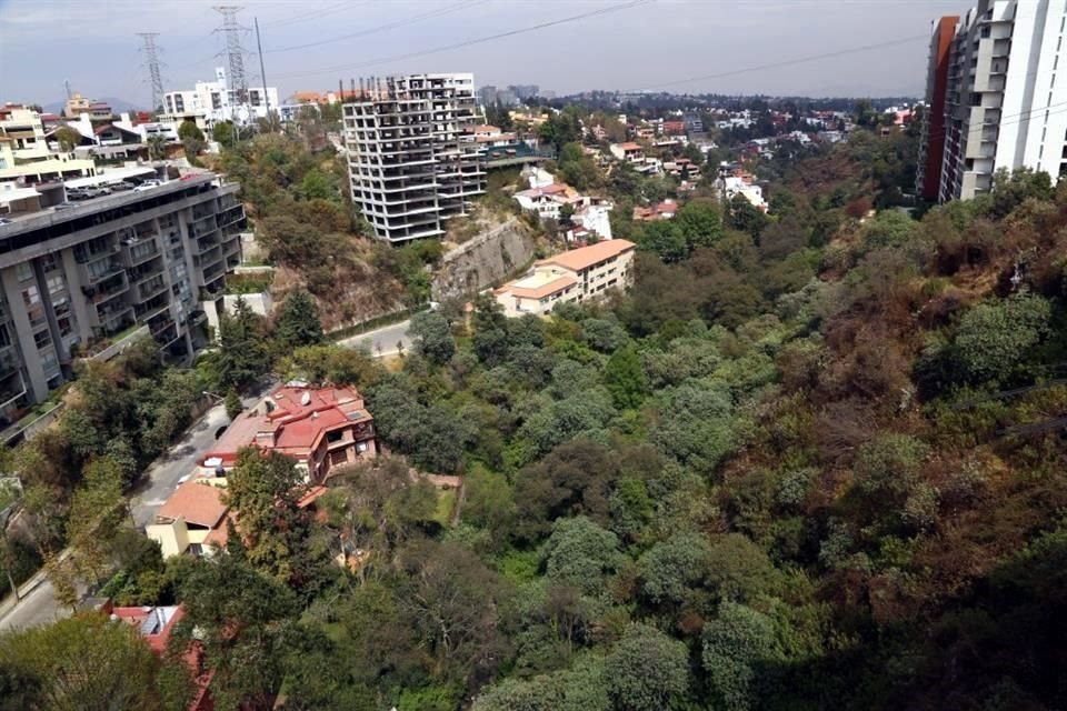 Una de las causas de la sequía es la pérdida de bosques en el municipio.