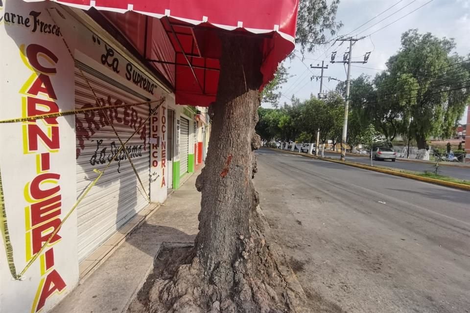 Cuatro hombres irrumpieron en una carnicería ubicada sobre la Avenida Santa Cecilia, en la Colonia La Purísima y lesionaron de gravedad a uno de los empleados, en Tlalnepantla.