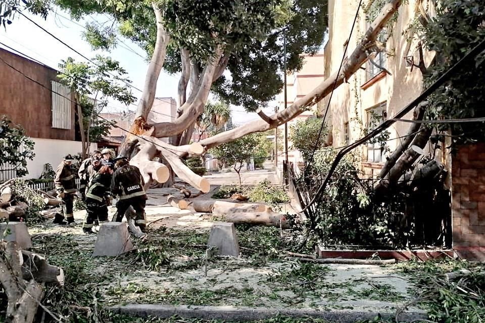 El martes un árbol cayó y provocó daños en la red de gas natural, señalaron vecinos de la Colonia Monte de Piedad.