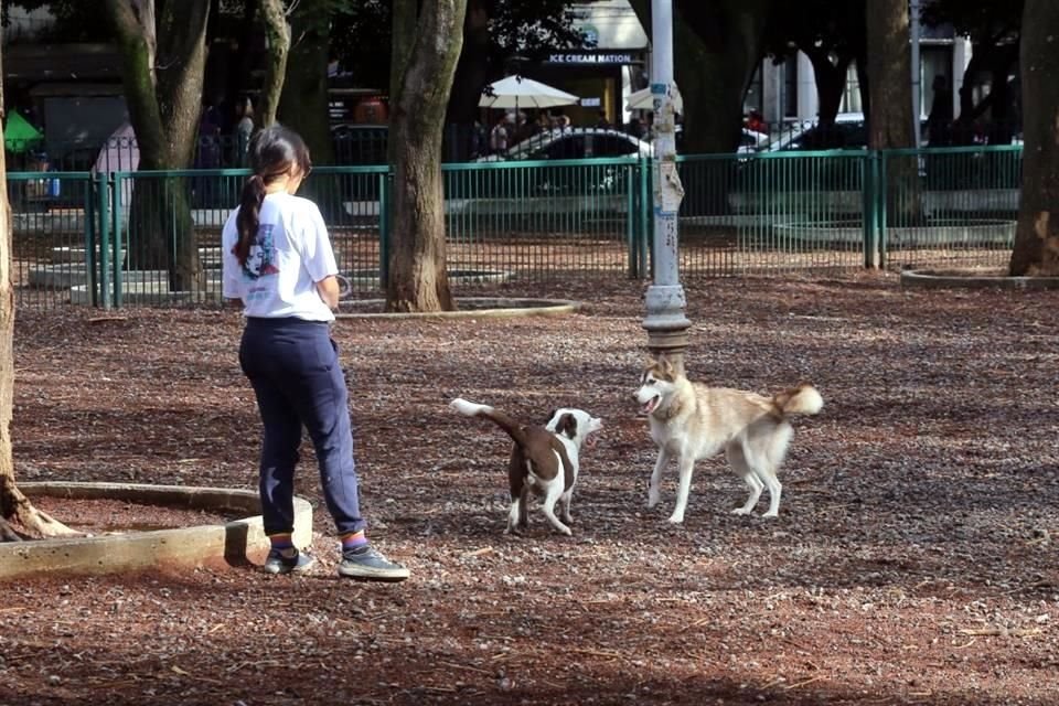 El registro para paseadores de perro será gratuito, se solicitará nombre completo, identificación oficial, número telefónico y correo electrónico.