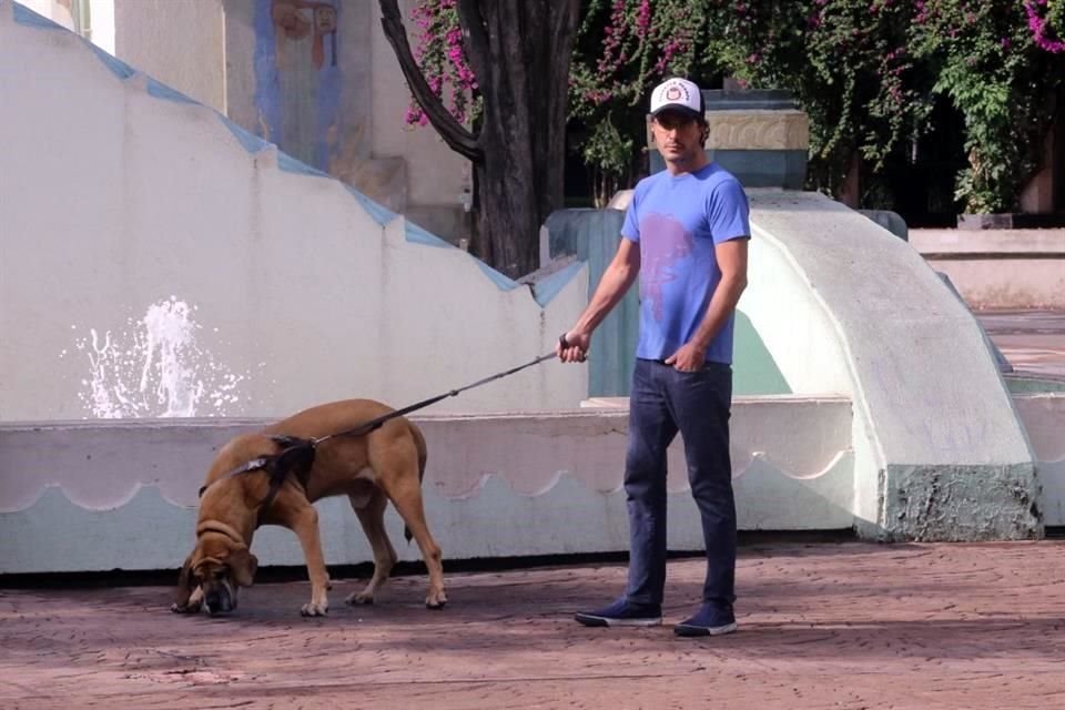 En el primer curso para capacitar a paseadores de perros hubo 82 asistentes.