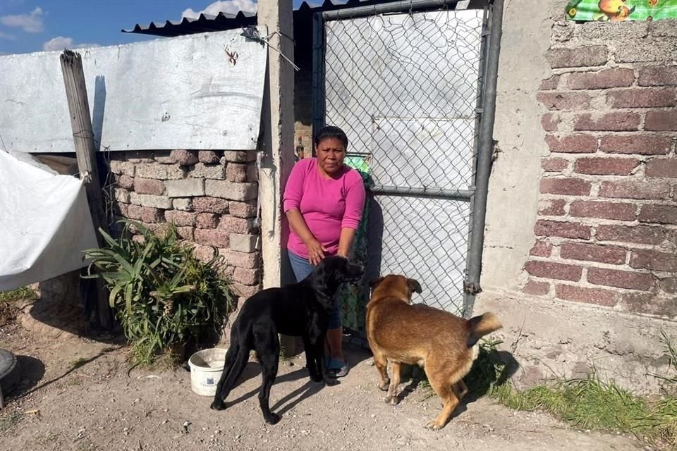 El hijo de Lucía rescató a Scooby hace 15 días, pues sus antiguos dueños se querían deshacer de él.