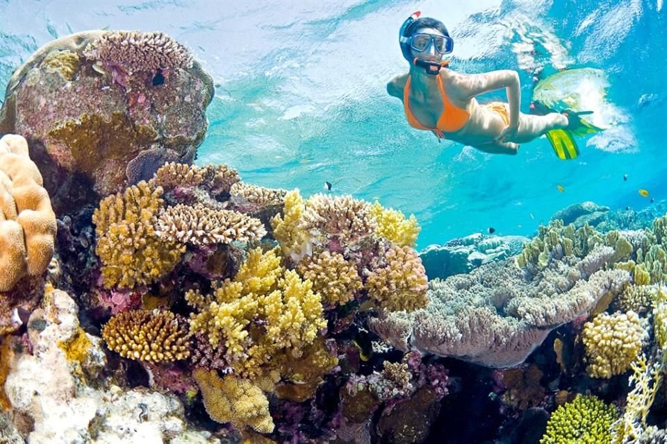 El Día Mundial de los Océanos se celebra cada 8 de junio.