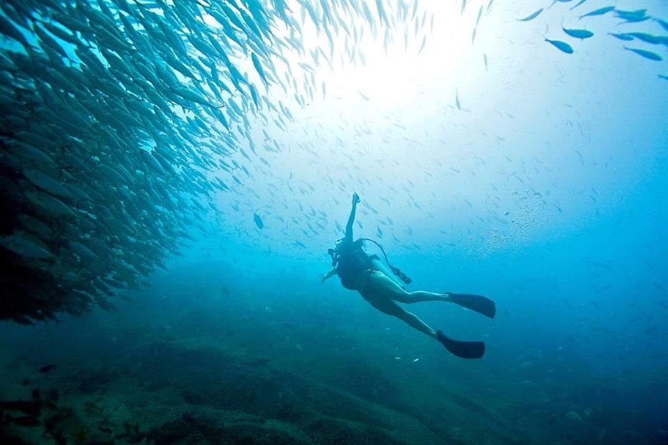 Cabo Pulmo, ubicado el norte de Cabo San Lucas, brinda una mirada a un caso de éxito en la conservación del entorno natural.