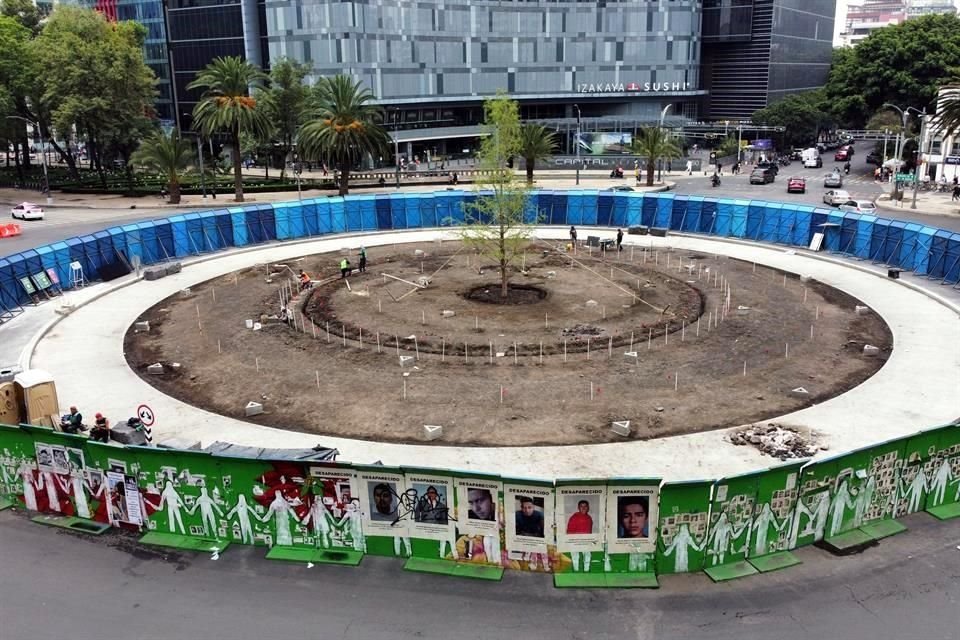 Luego que un sujeto vertiera cemento en el segundo ahuehuete plantado en Paseo de la Reforma, CDMX afirma que se encuentra en buen estado.