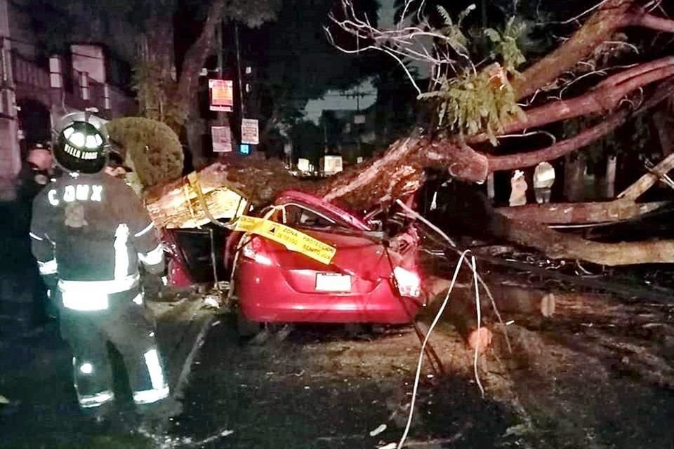 El lunes un árbol cayó sobre un auto provocando la muerte de una mujer en la Alcaldía Benito Juárez.