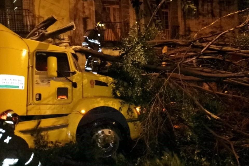 'Caída de árbol en República de Uruguay, colonia centro. Al caer causó daños en la cabina de un tráiler. No hubo lesionados', apuntó la SGIRPC.