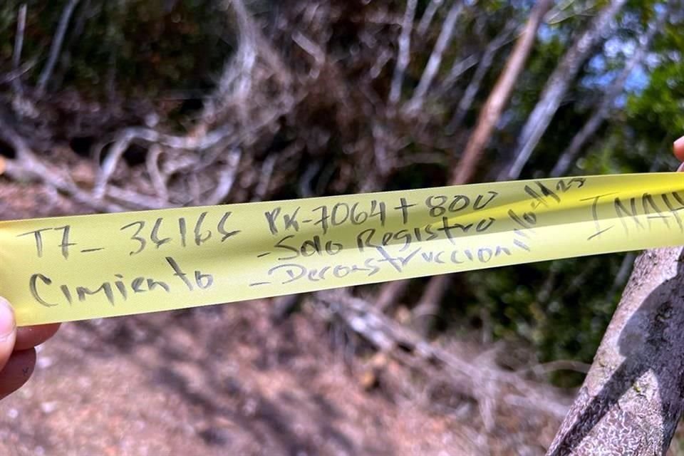 El arqueólogo Cortés de Brasdefer describe en su texto cintas con la orden de destrucción de estructuras que no serán rescatadas a lo largo del tramo 7 del Tren Maya. Las imágenes fueron compartidas con su escrito en redes sociales.