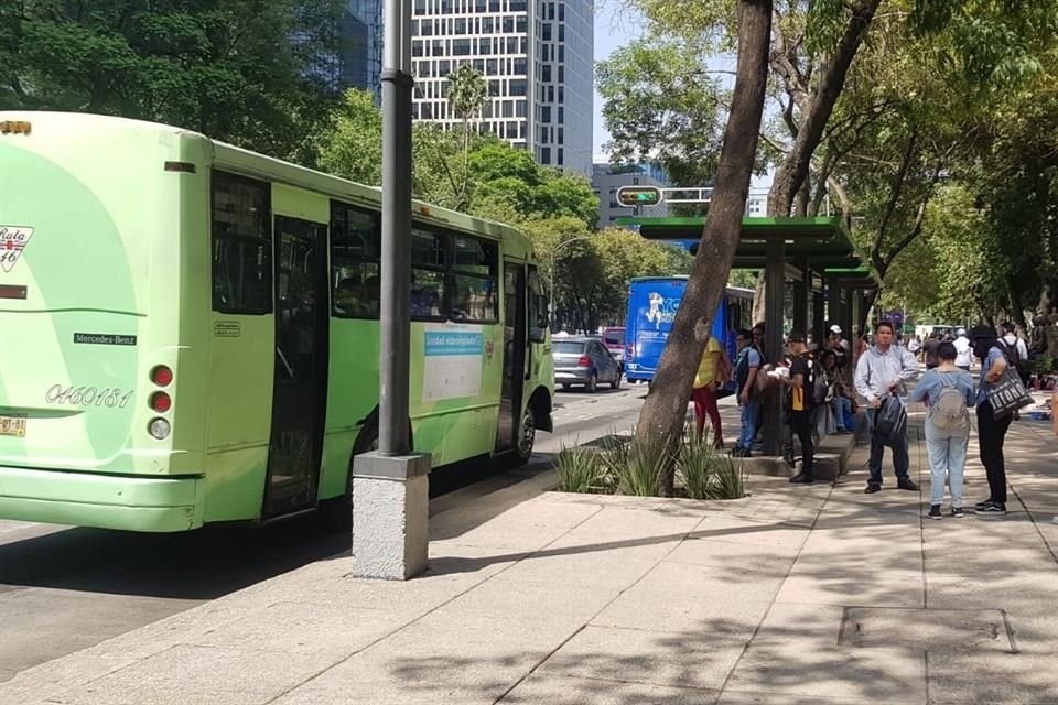 En el carril exclusivo del Metrobús en Paseo de la Reforma circulan micros y autobuses con asistentes al evento de Sheinbaum.