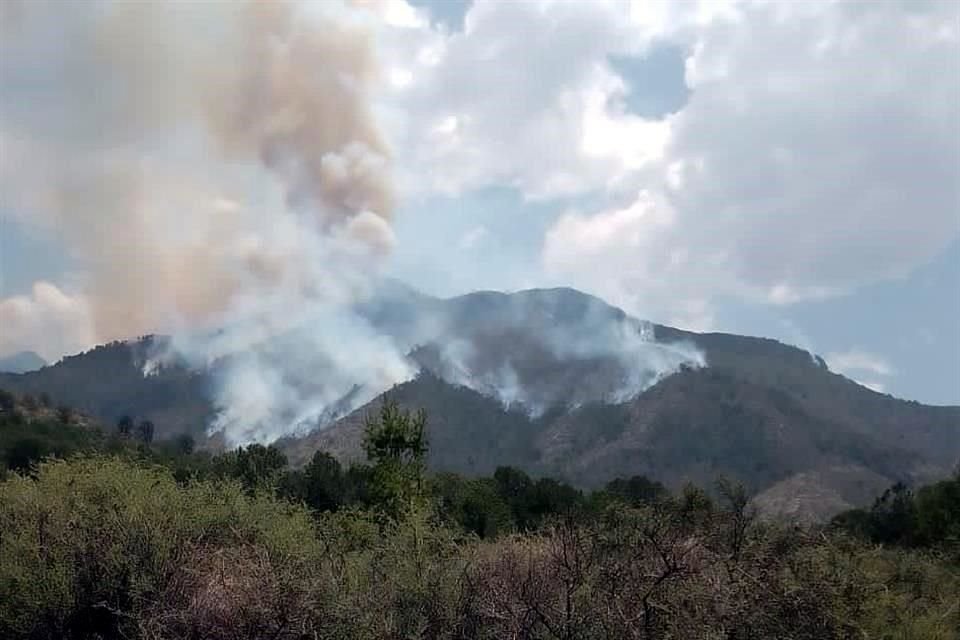 Combaten Incendio Forestal En Límites De Coahuila Y Nl 5898