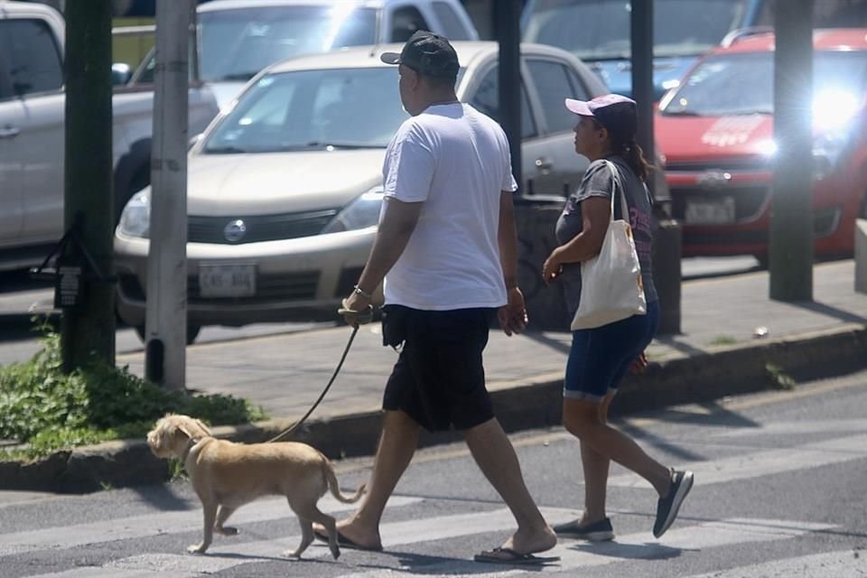 Los canes son más vulnerables a las altas temperaturas, pues usualmente están expuestos al exterior.