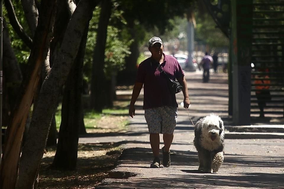 'Los perros pueden llegar a ser más susceptibles a las temperaturas altas, debido a que es más frecuente que estén en el exterior o que los saquemos a pasear', dijo especialista.