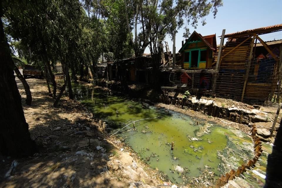 El canal adjunto a la Avenida Nuevo León terminó por convertirse en un receptáculo de aguas negras vertidas por las viviendas.