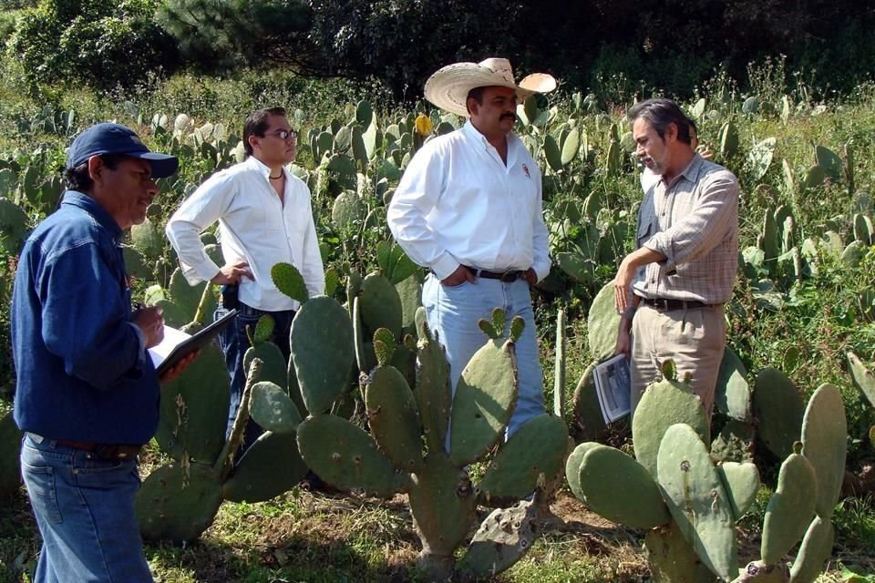 Para el ingeniero agrónomo Gustavo Mora es una satisfacción contribuir a que los productores agrícolas puedan levantar sus cosechas.