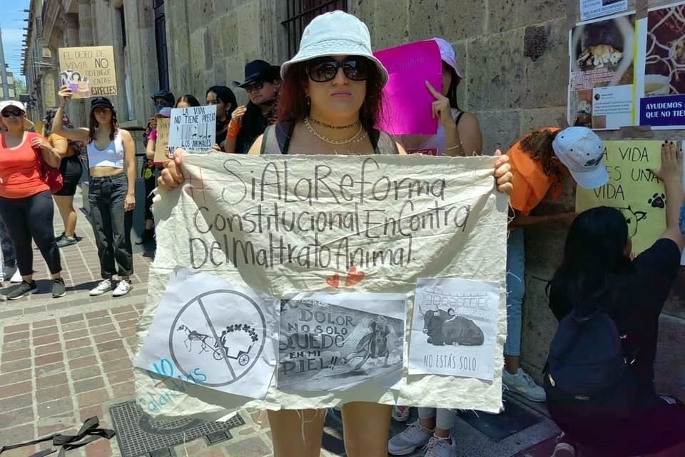 Un grupo de personas se manifestó afuera del Congreso para exigir leyes más fuertes contra el maltrato animal y, sobre todo, que se cumplan.