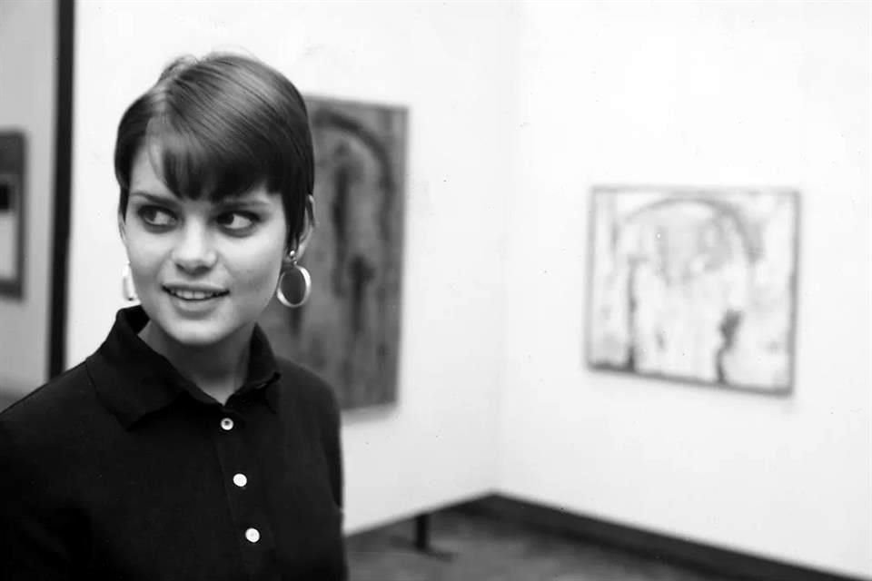 La exposición 'Cultivar. Homenaje a Carla Stellweg', permanecerá hasta agosto en el Museo Tamayo.