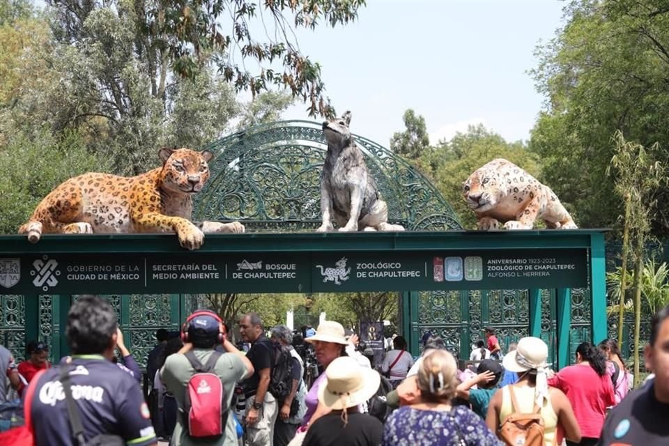 El Zoológico de Chapultepec conmemora sus primeros 100 años.