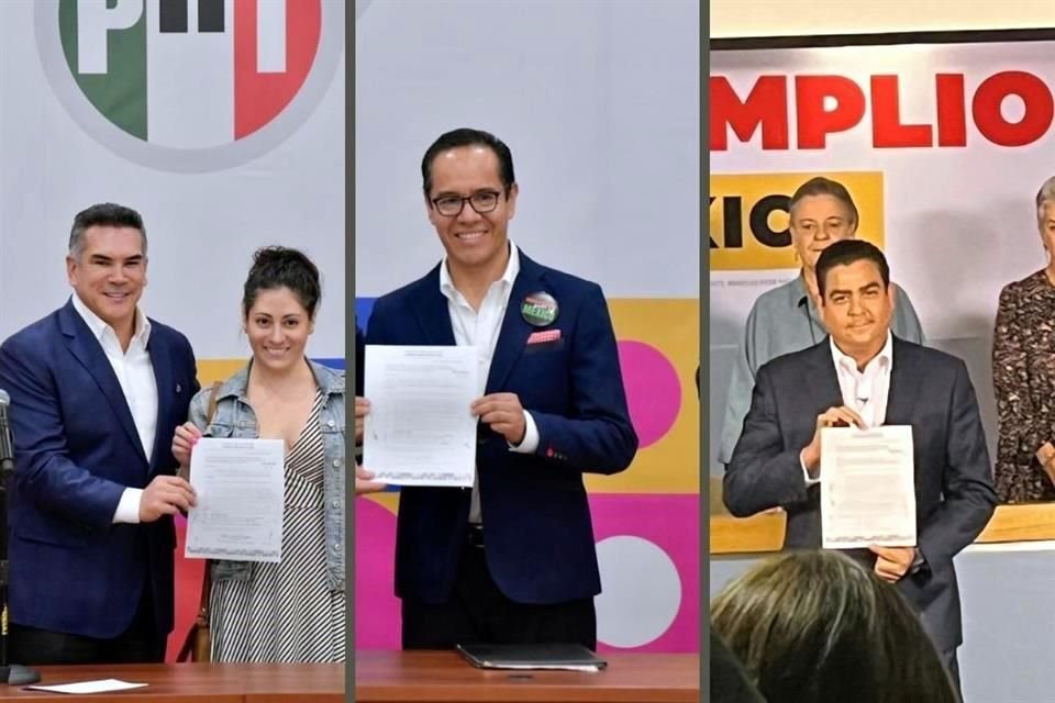 Adriana Delarbre López, Jaime Duarte Martínez y Mario Facundo Palacios Palacios.