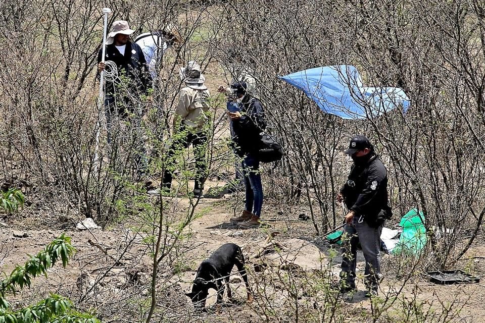 AMLO dijo que hay una disminución en los registros de personas desaparecidas y que censos arrojaban más víctimas en su Gobierno.