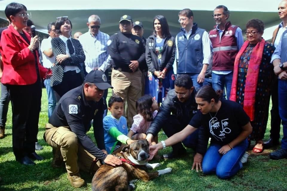 La SSC presentó el proyecto de 'Ciudad de los Perros y Gatos' con el que buscan convertir a la Brigada de Vigilancia Animal en un centro de rehabilitación.