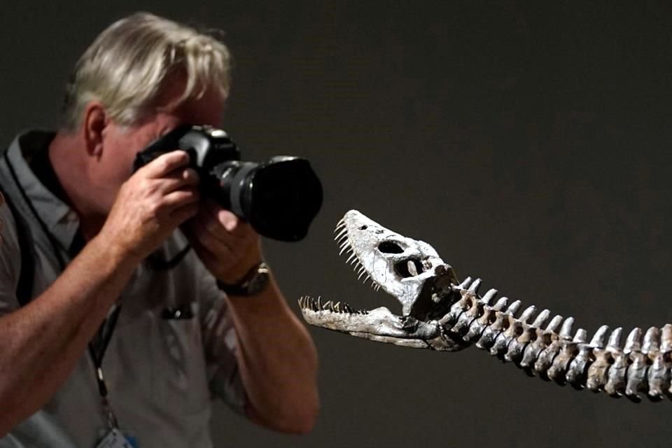 Un fotógrafo toma una foto de 'Nessie', un esqueleto montado de un plesiosaurio criptoclidus del Jurásico inferior.