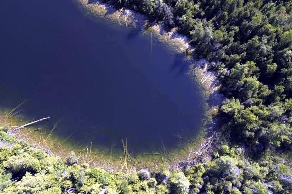 El lago Crawford, ubicado cerca de la ciudad canadiense de Toronto, es el sitio que demuestra que ya empezó el Antropoceno.