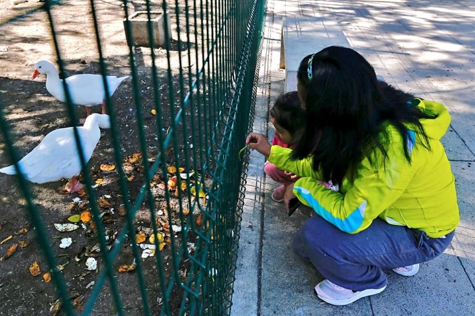 Los vecinos suelen alimentar a los patos en el Canal Nacional.