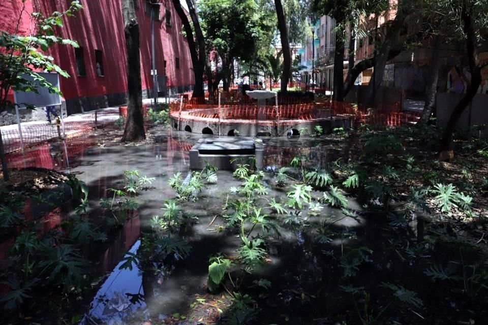 El jardín de polinizadores ubicado en la Plaza de San Jerónimo tiene agua estancada, tras la tormenta del martes.