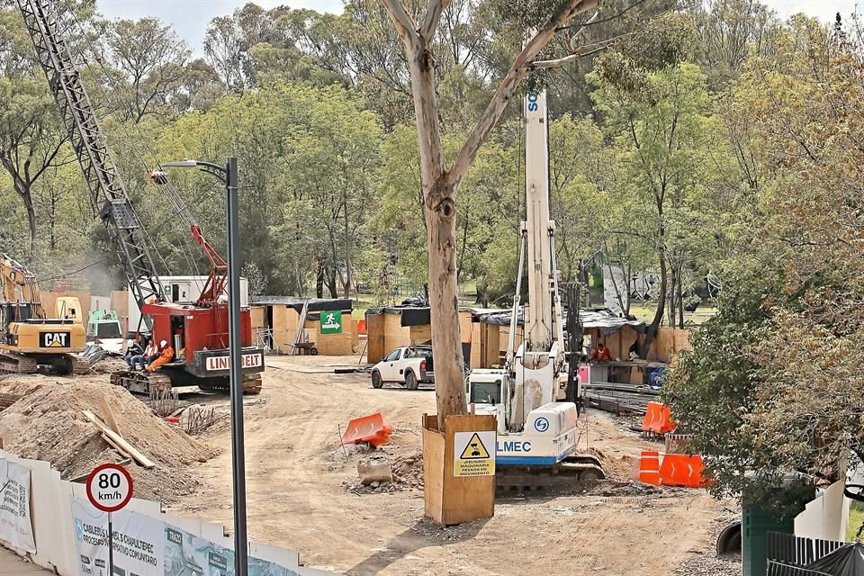 Las obras de la Línea 3 del Cablebús en Miguel Hidalgo impactarán al menos 451 árboles en Chapultepec, de los cuales 18 serán retirados y 361 se transplantarán.