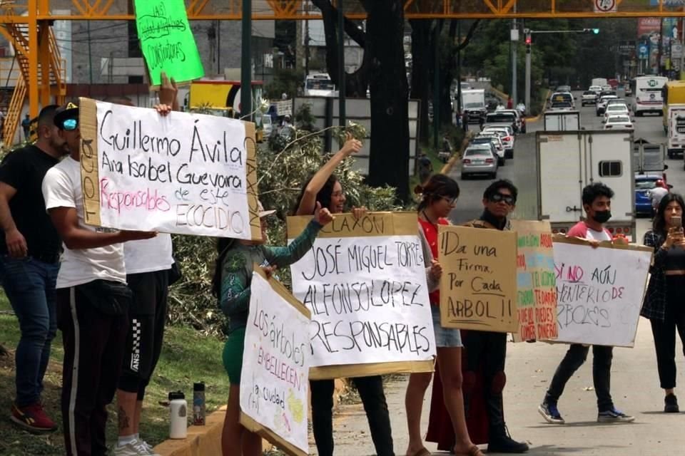 Los más de 60 ejemplares fueron derribados la noche del 17 de julio y la madrugada del 18.