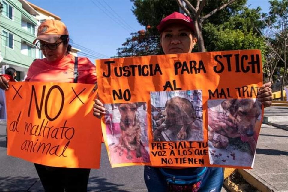 Un juez de control vinculó a proceso a Francisco 'N' por la brutal agresión a 'Stitch', perrito que 'robó' un pan en Chilpancingo y que murió por la golpiza que le dio