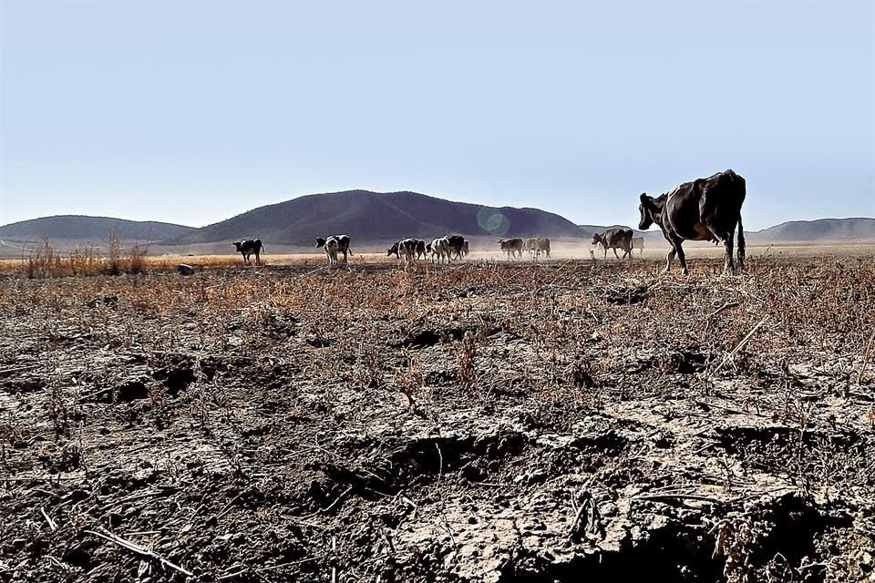 Durante los dos días de trabajo se realizarán cuatro mesas de discusión, una de ellas respecto a la legislación en materia de agua. 